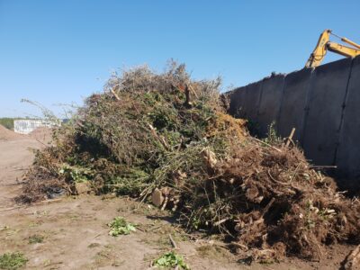 Green Waste Removal
